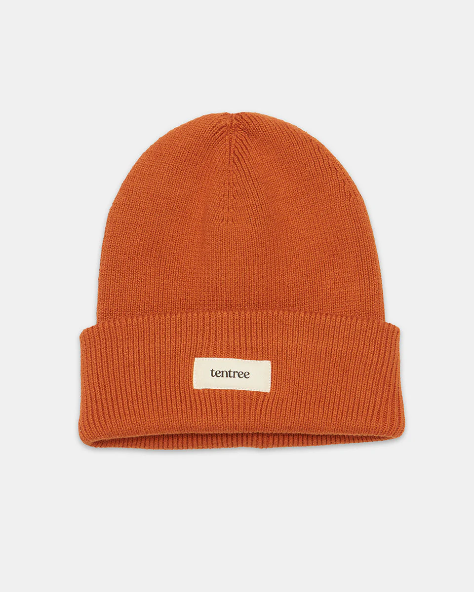 Alden Beanie