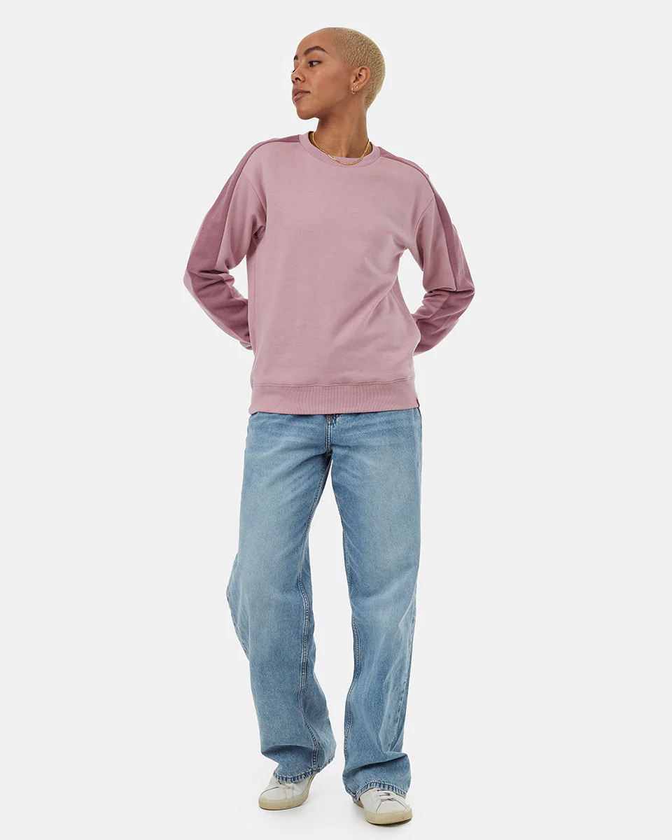 Blocked Sleeve Stripe Crew - Image 4