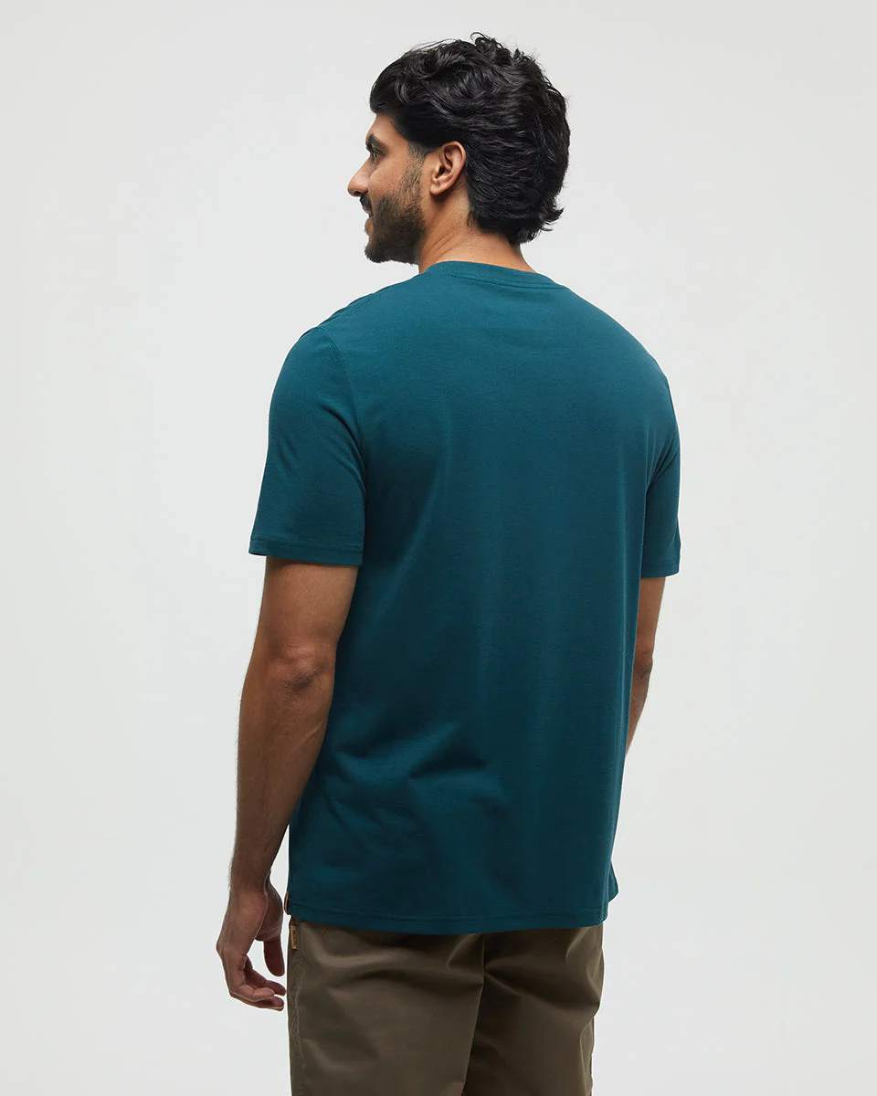 Cloudy Forest Ten T-Shirt - Image 3