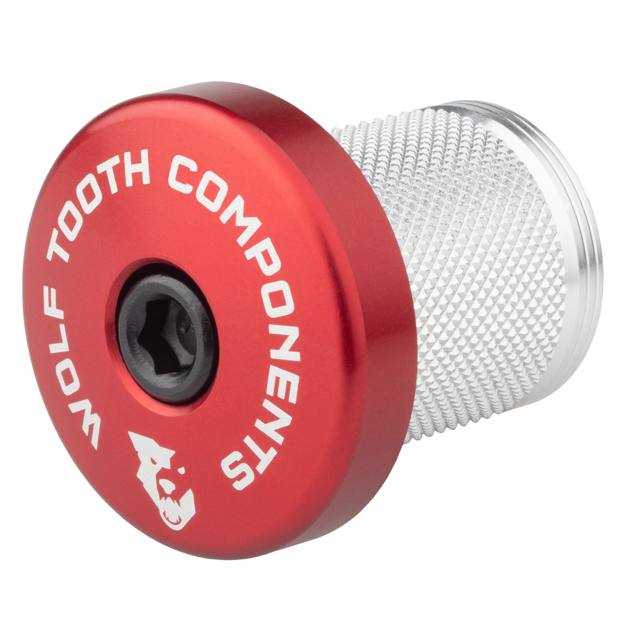 Compression Plug with Integrated Spacer Stem Cap - Image 2