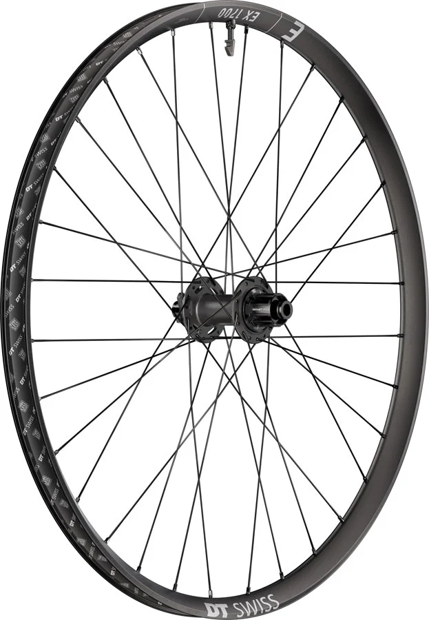 DT Swiss EX 1700 Classic 30 Rear Wheel - 29" 12 x 148mm 6-Bolt HG Slim DEG 72 DF BLK