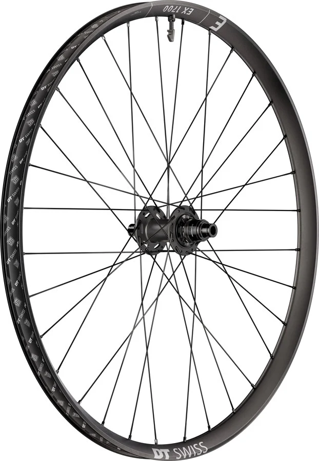 DT Swiss EX 1700 Classic 30 Rear Wheel - 29" 12 x 148mm Center-Lock XD DEG 72 DF BLK