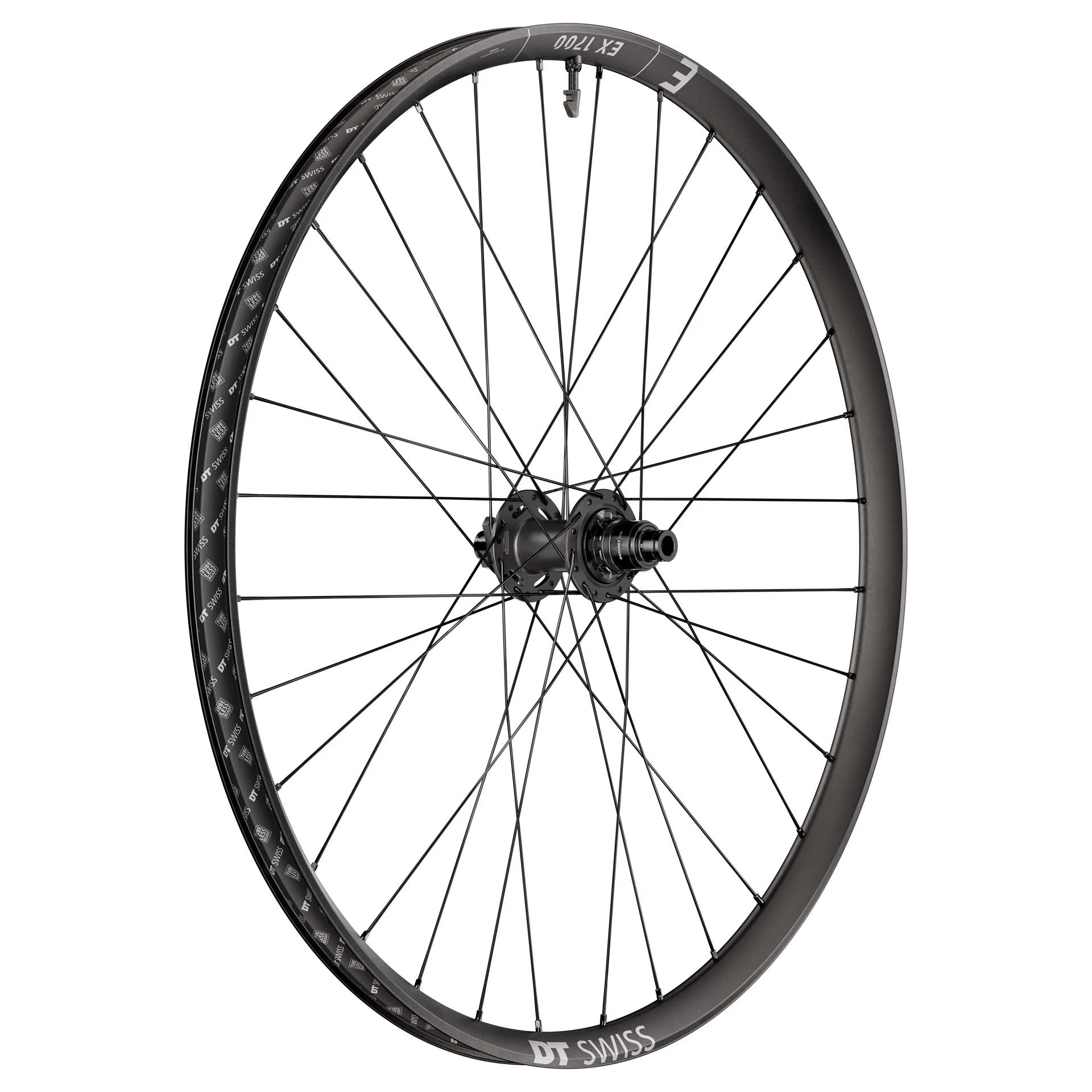DT Swiss EX 1700 Classic 30 Rear Wheel - 29" 12 x 148mm 6-Bolt XD DEG 72 DF BLK
