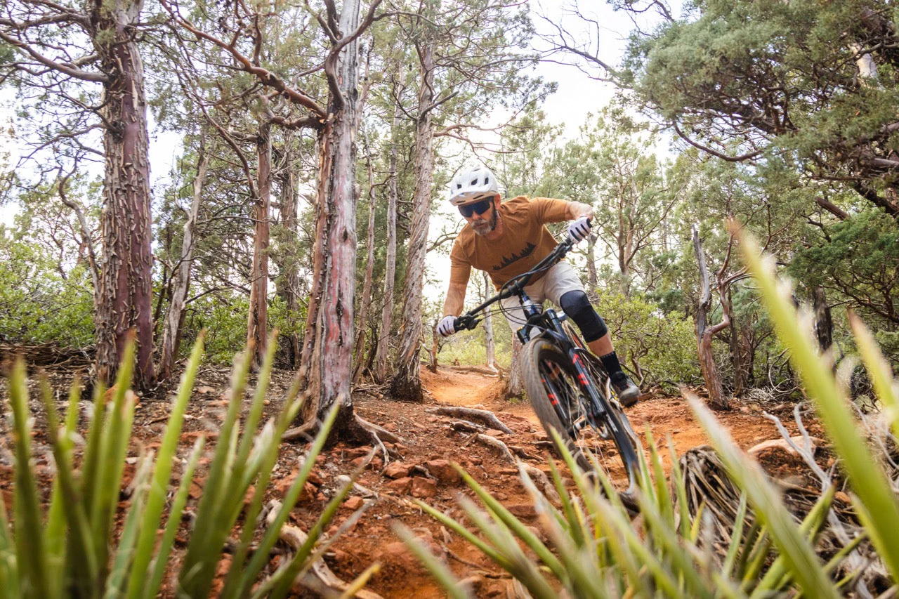Fantom Ultralite MTB Shorts - Vapor - Image 8
