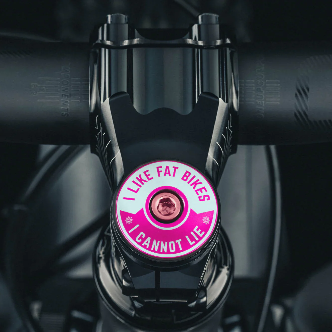 I Like Fat Bikes & I Cannot Lie Bicycle Headset Cap - Image 16