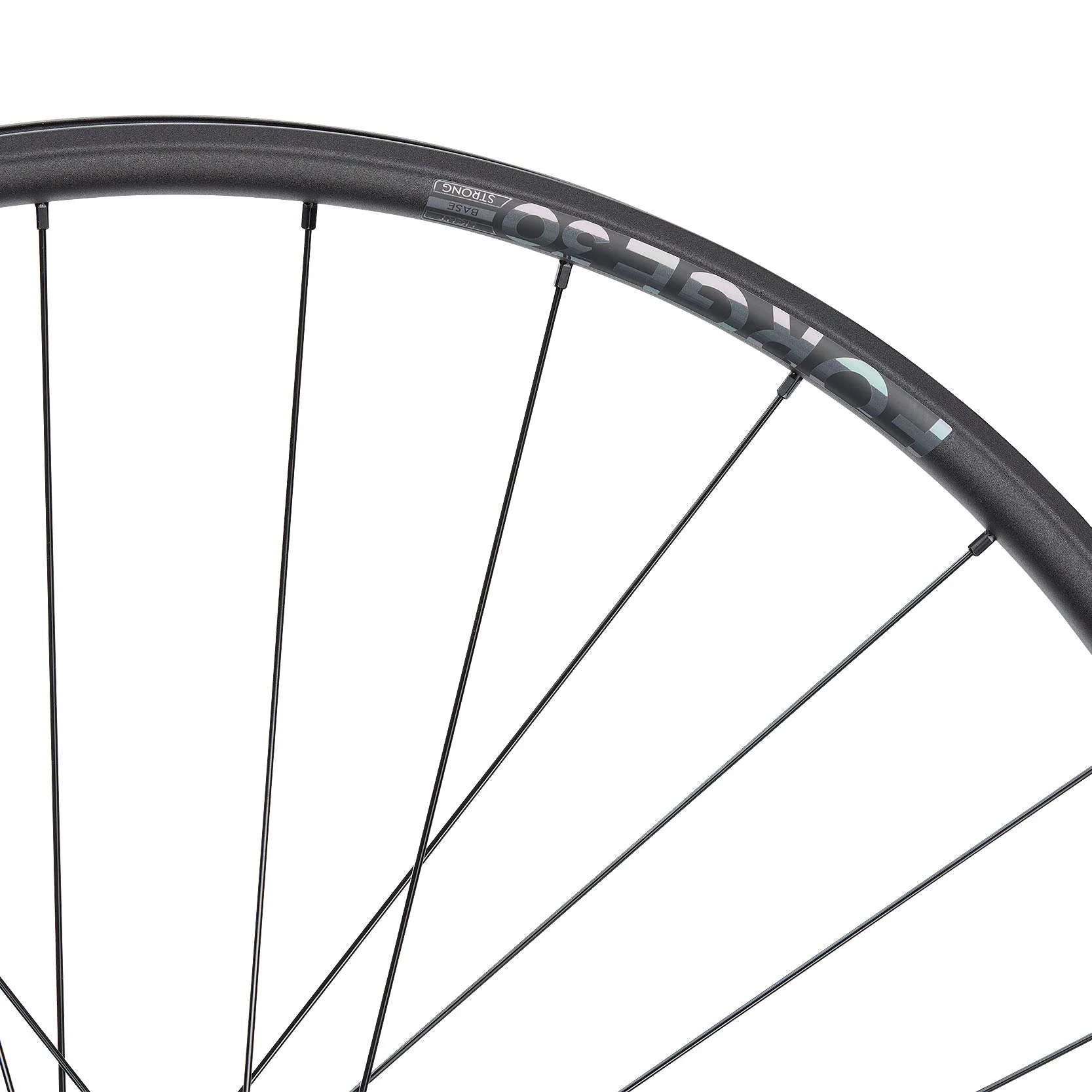 NEWMEN Rear Wheel - Forge 30 base 29" 28h FADE SP 6B 12x148 XD - Trail - Image 3