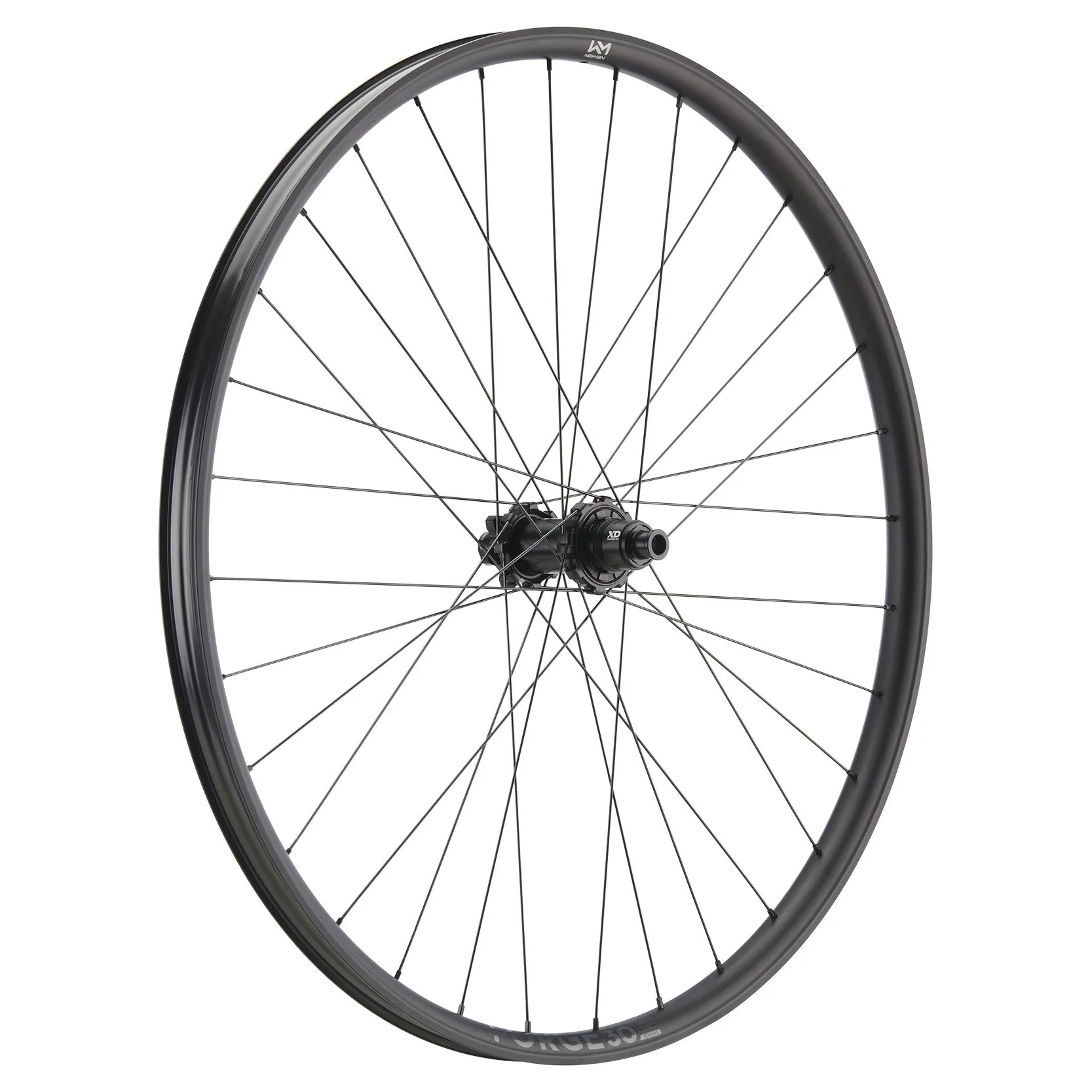 NEWMEN - Wheel (Front) - Forge 30 Strong | Enduro - [D]