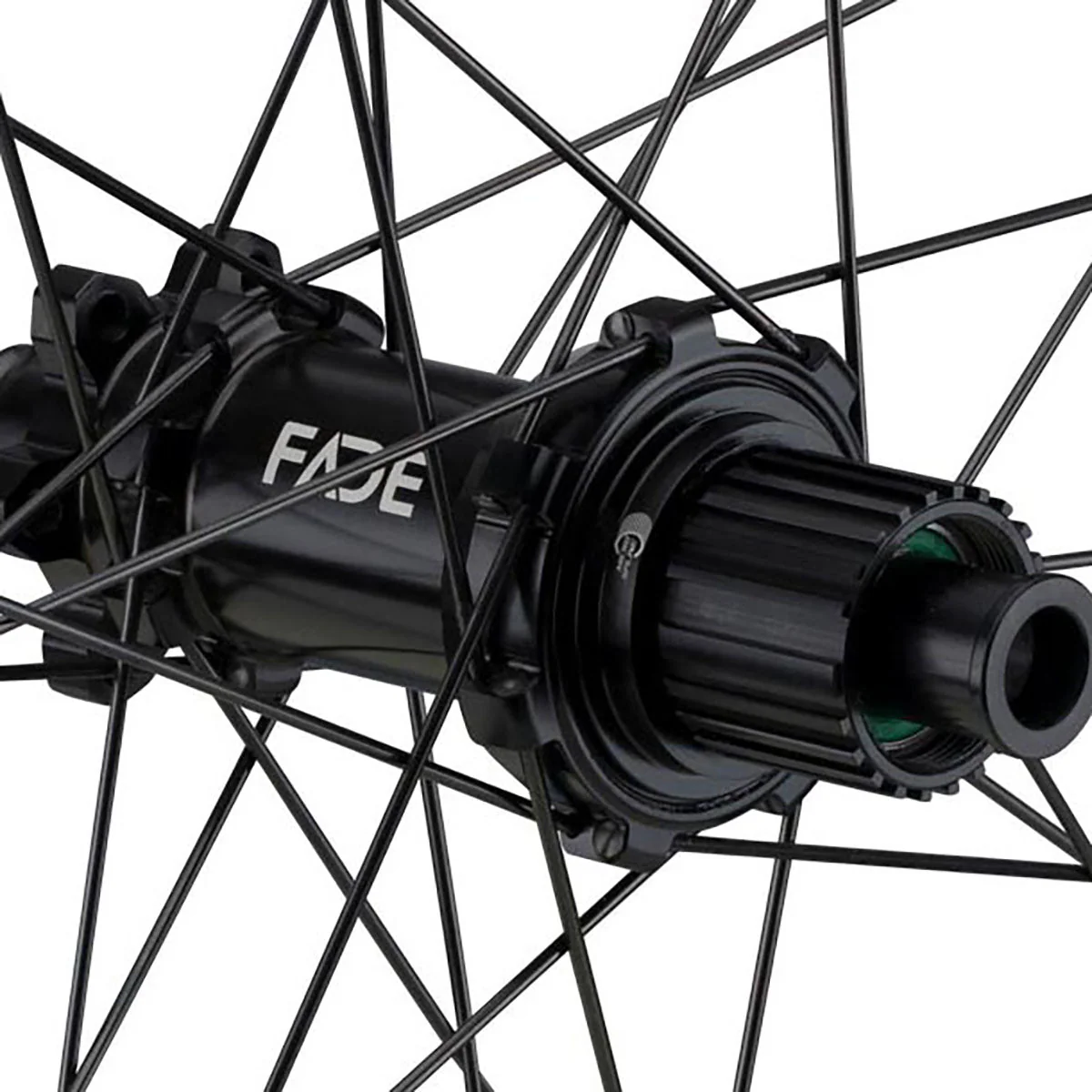NEWMEN - Wheel (Rear) - Phase 30 Strong | Enduro - [D] - Image 6