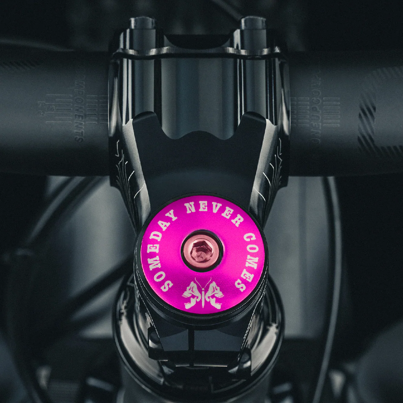 Someday Never Comes Custom Bicycle Headset Cap - Image 15