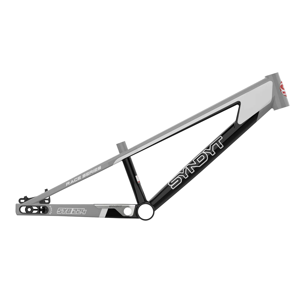 SYB 224: 22” TT Pro 24 XL BMX Frame - Image 4
