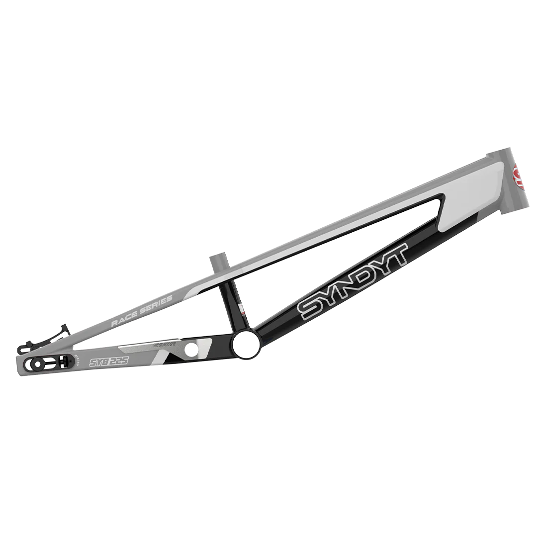 SYB 225: 22.5” TT Pro 4XL BMX Frame - Image 4