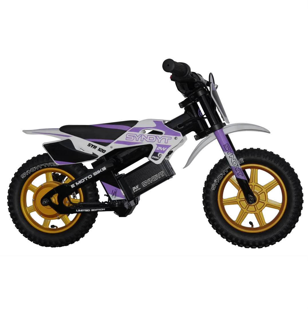 SYNDYT SYR 120 12" E Balance Bike. 24 Volts. 10 AH. 250 Watts. 5, 8, 12mph - Image 2