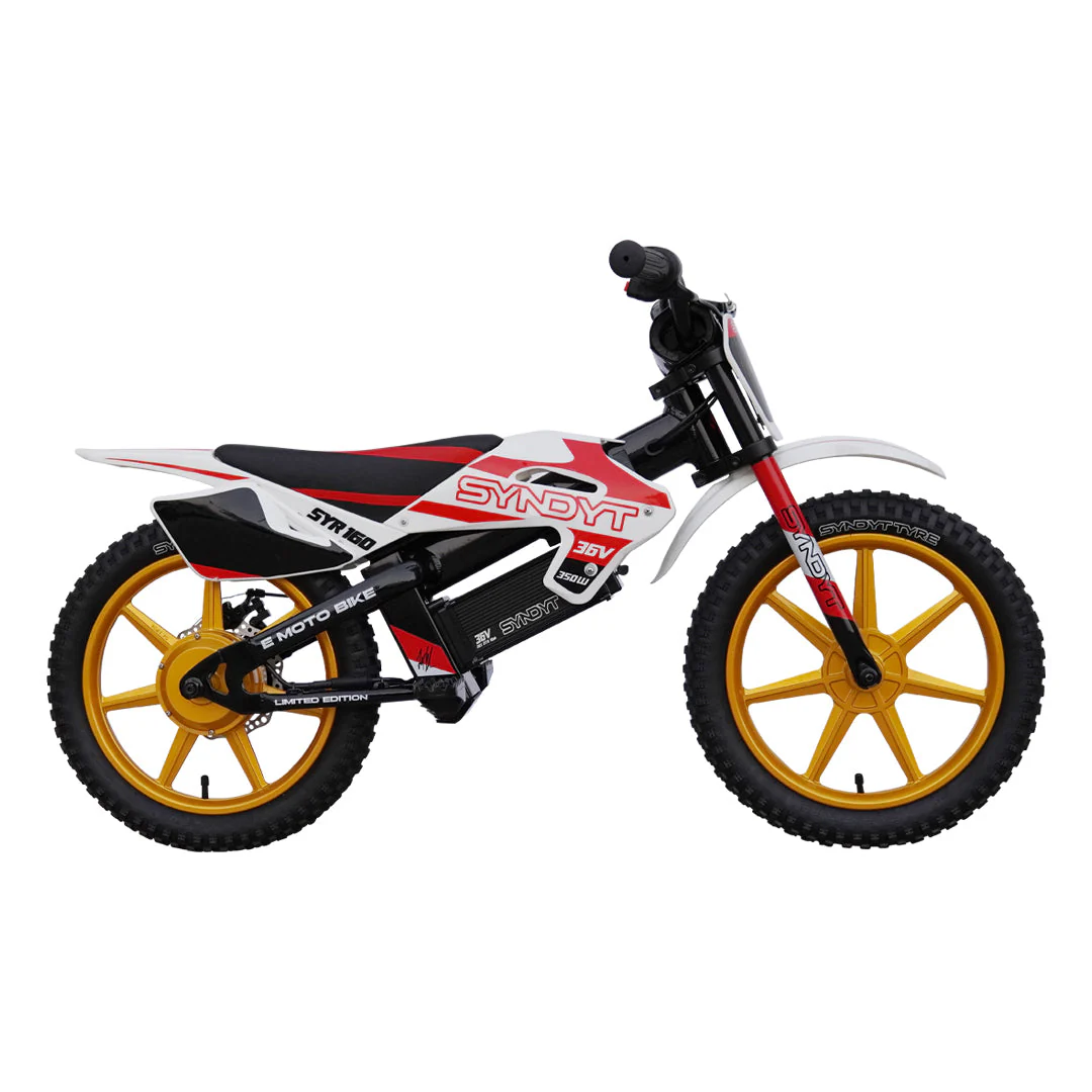 SYNDYT SYR 160 16" E Balance Bike. 36 Volts. 10 AH. 350 Watts. 5, 10, 16mph - Image 2