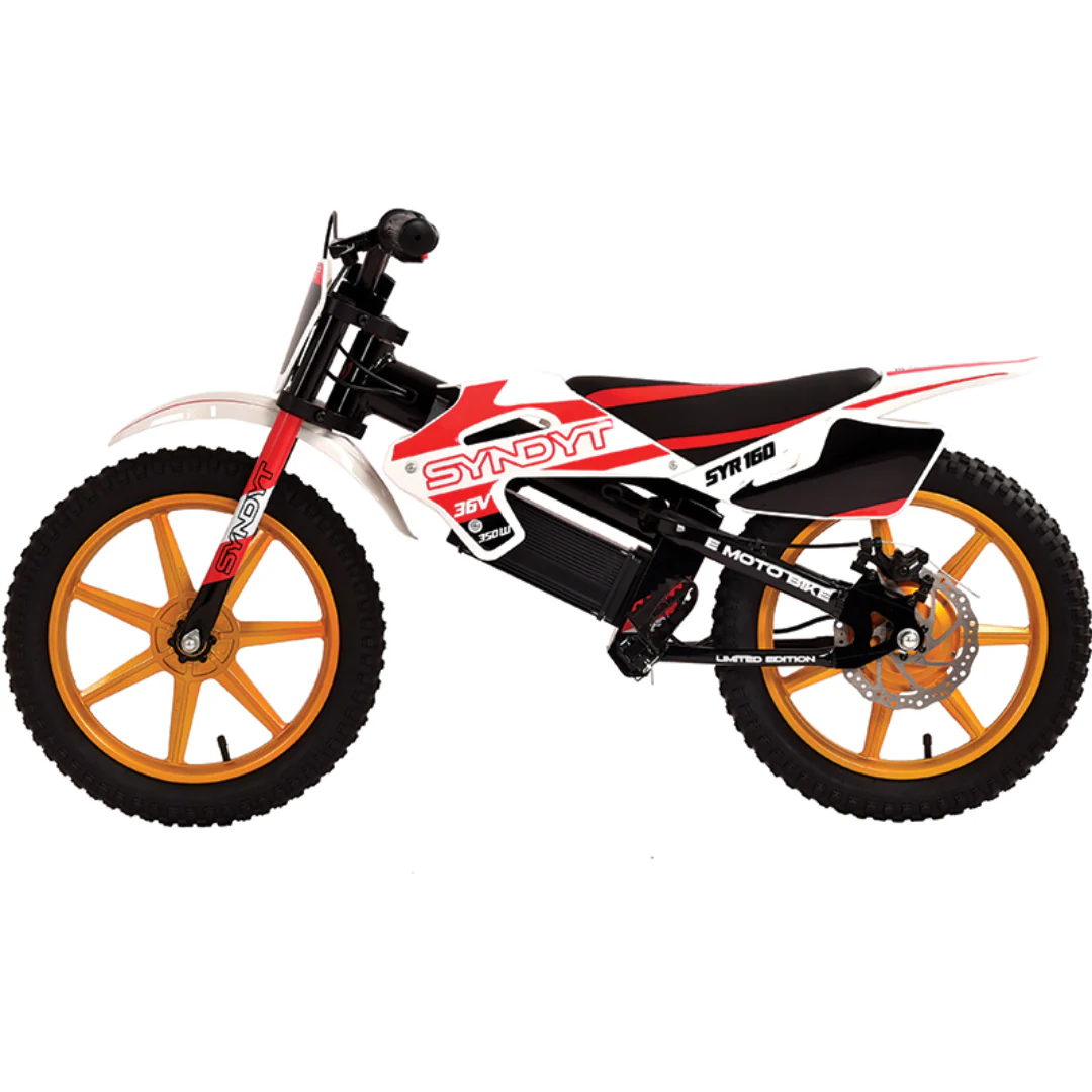 SYNDYT SYR 160 16" E Balance Bike. 36 Volts. 10 AH. 350 Watts. 5, 10, 16mph - Image 4