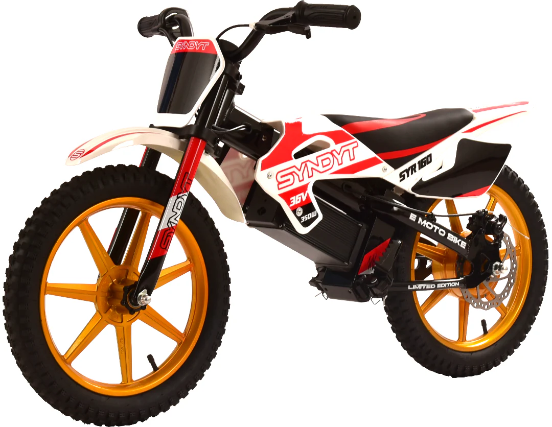 SYNDYT SYR 160 16" E Balance Bike. 36 Volts. 10 AH. 350 Watts. 5, 10, 16mph - Image 5