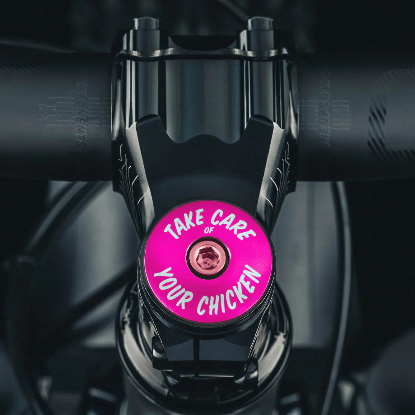 Take Care of Your Chicken Bicycle Headset Cap - Image 16