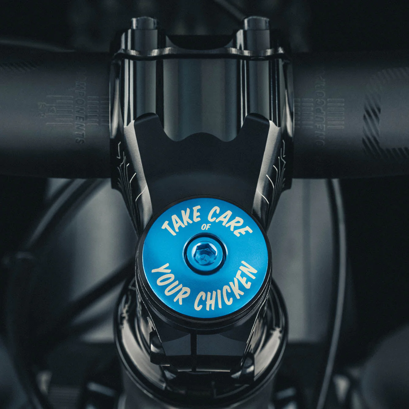 Take Care of Your Chicken Bicycle Headset Cap - Image 2