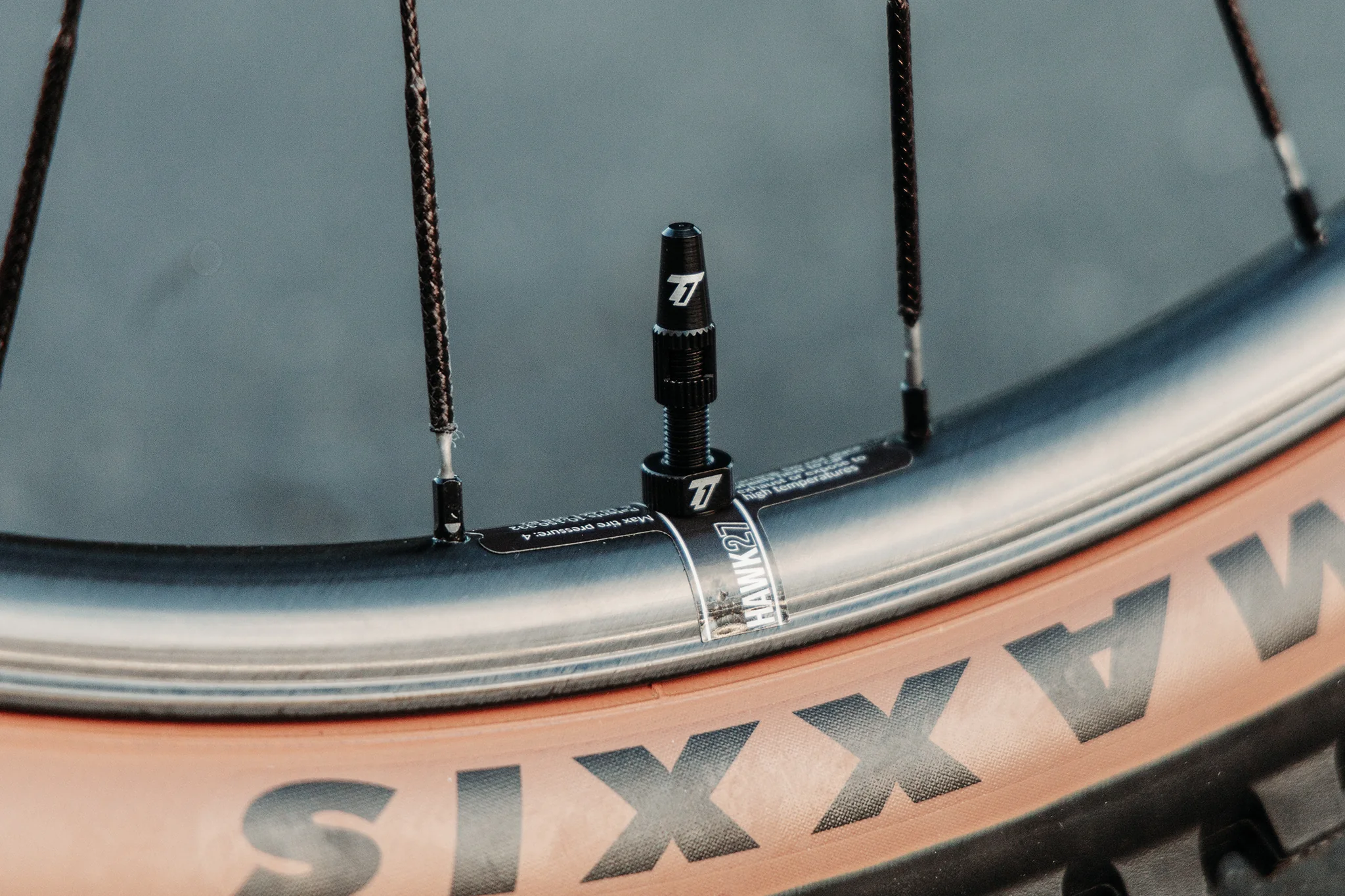 The Trail One Tubeless Valve Stems - Image 3