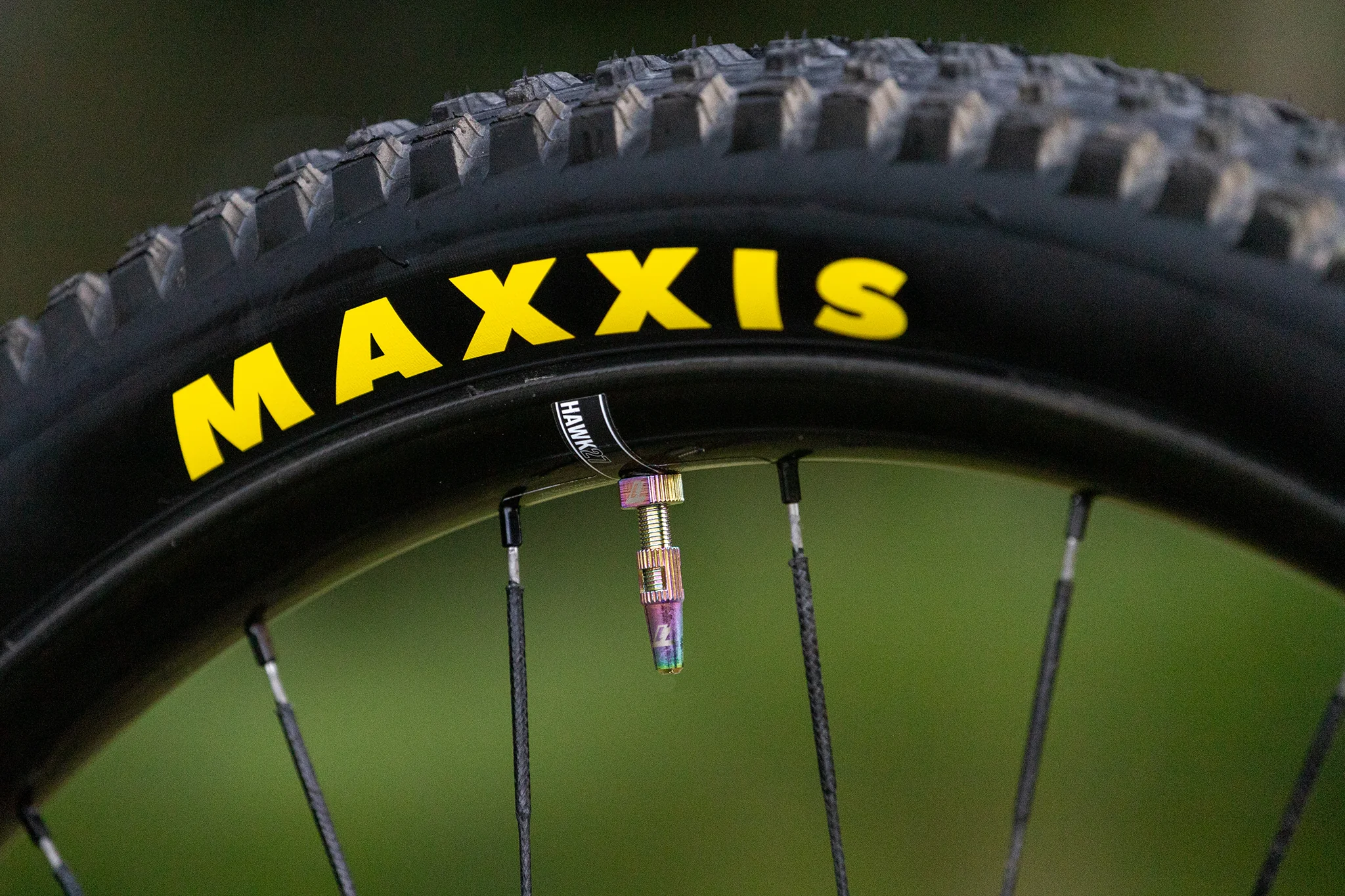 The Trail One Tubeless Valve Stems - Image 5