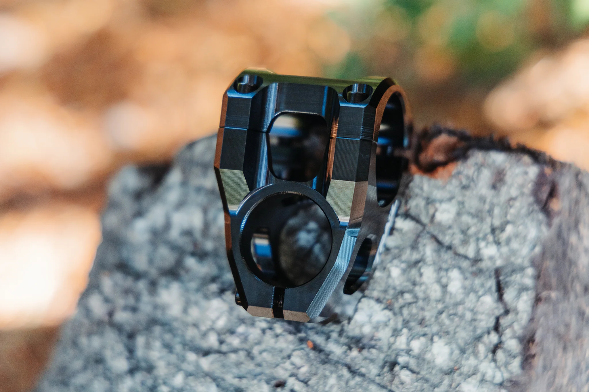 The Viking Stem - Image 7