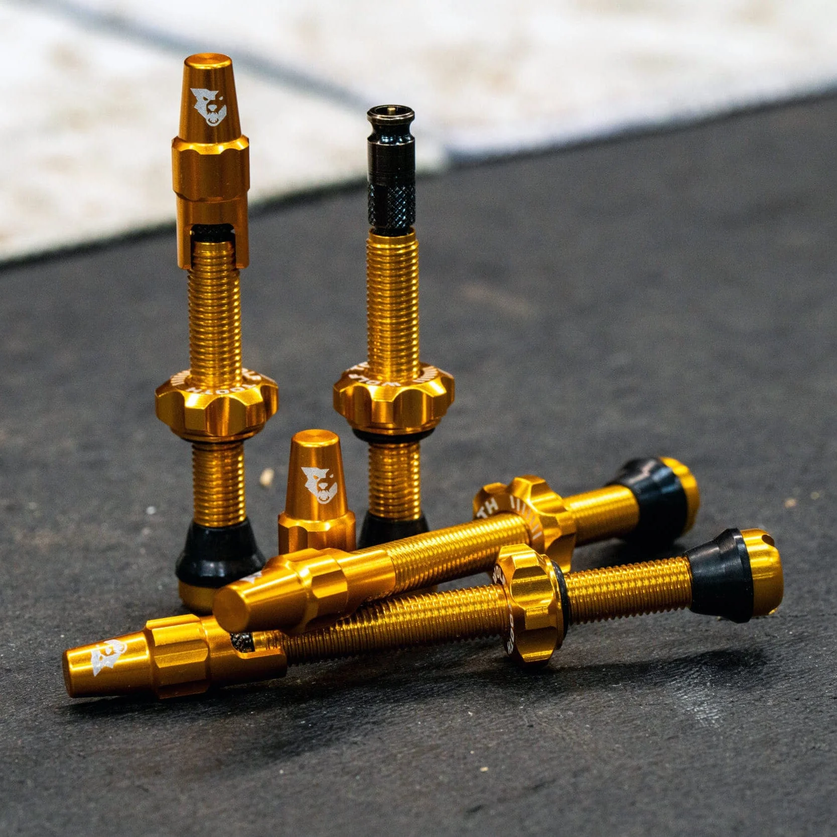 Tubeless Valve Stem Kit for Clik Valve - Image 20