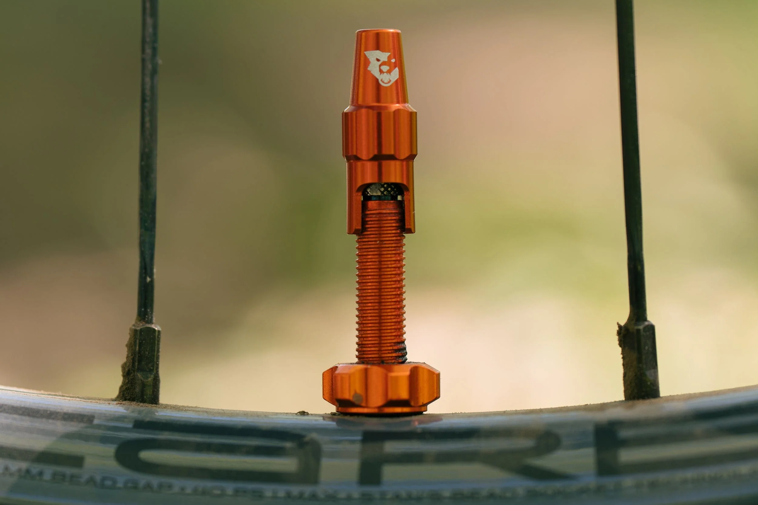 Tubeless Valve Stem Kit for Clik Valve - Image 24